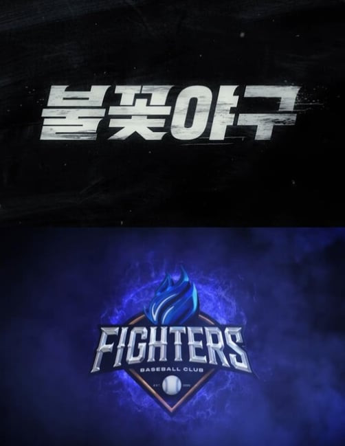 불꽃야구